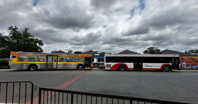 Fort Wilderness Bus Stop Moves After Water Main Break