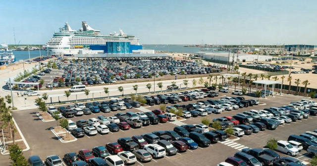 Spiders Greet Cruise Passengers at Galveston Parking Lot