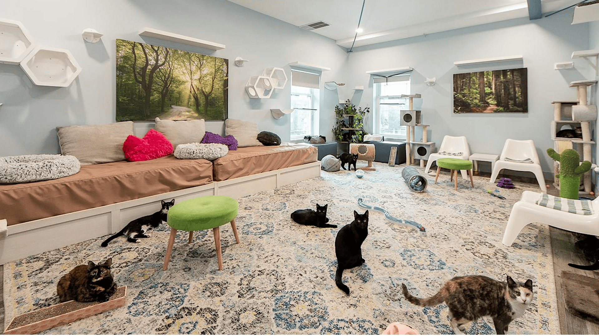 Best Indoor Activities in St. Pete for Rainy Days