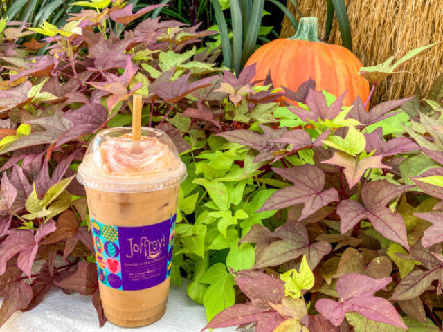 Joffrey's Pumpkin Carriage Cold Brew Is Back at Disney World