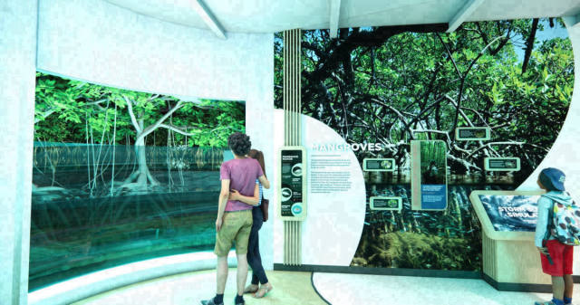 Pennekamp State Park Gets $250K Boost for New Aquarium Center