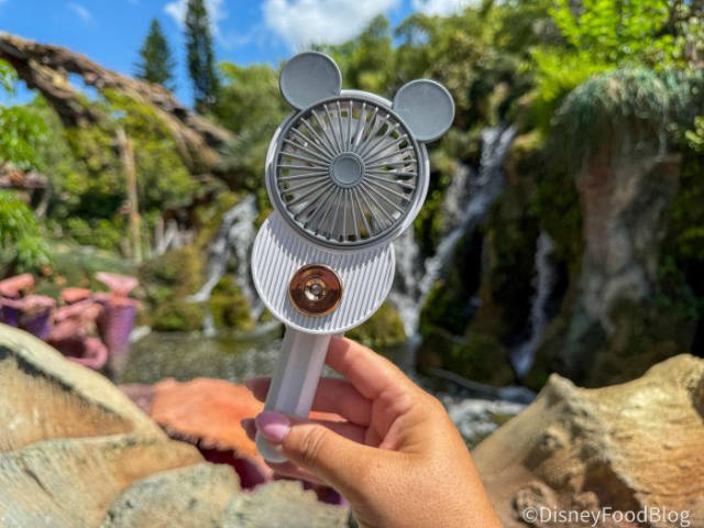 The $14 Fan That Makes Hot Disney Days Bearable