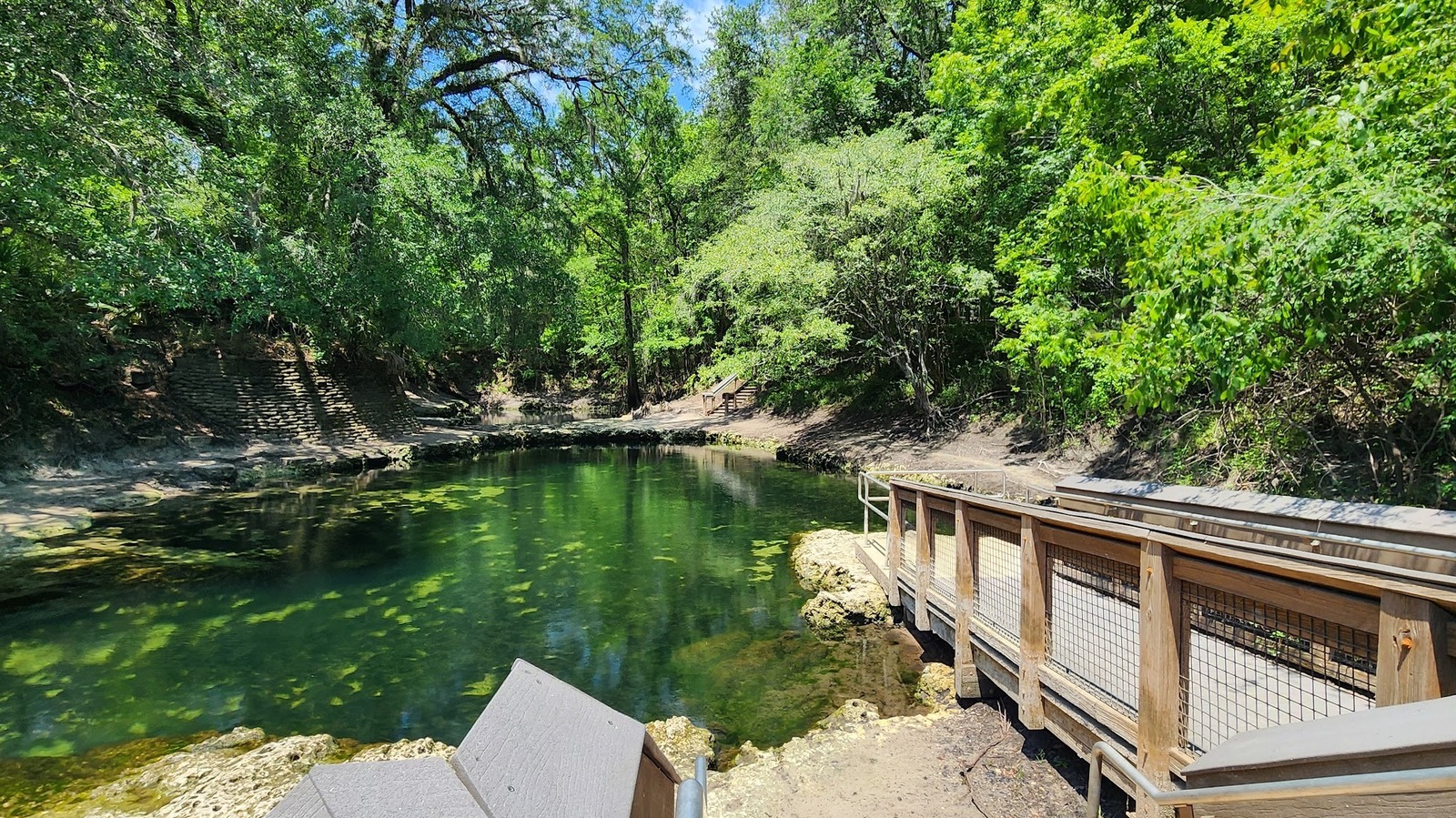 Lafayette Blue Springs: Cabins, Camping & Crystal-Clear Swims