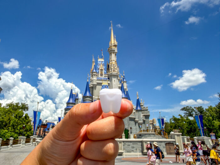 Lost a Tooth at Disney World? First Aid Has a Surprise for Your Kid