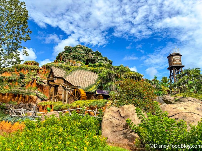 Beat the Heat at Magic Kingdom With These Cool-Down Spots