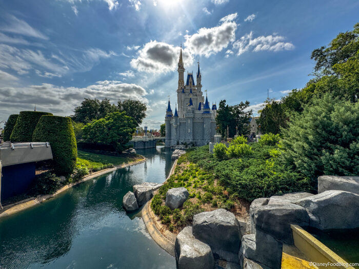 Mystery Backstage Building Spotted at Magic Kingdom