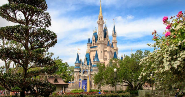 Porch Goose Gets a Princess Photo Shoot at Magic Kingdom