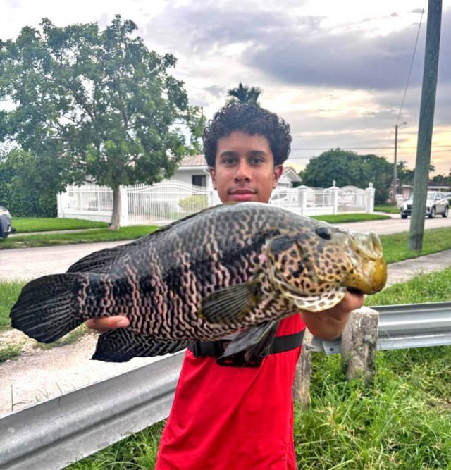 Miami Teen Sets Florida Record for Jaguar Guapote