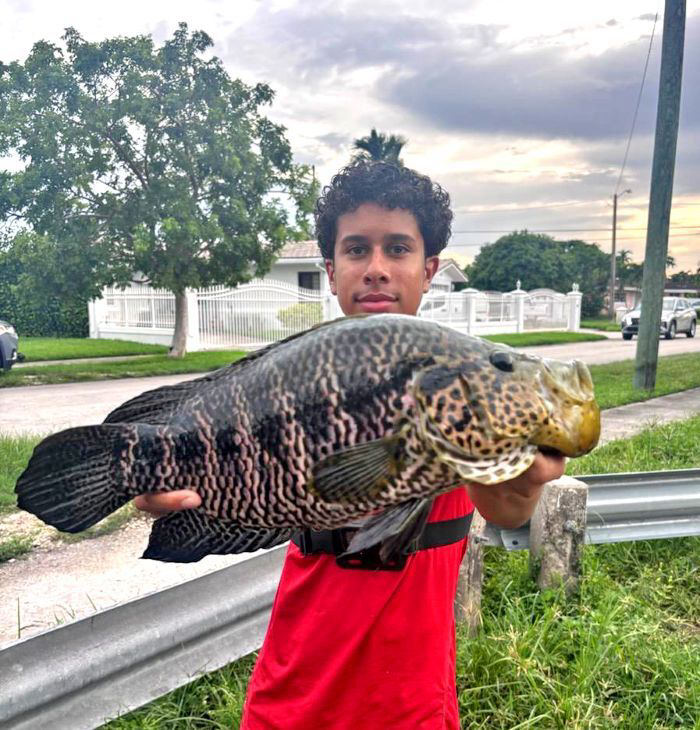 Miami Teen Sets Florida Record for Jaguar Guapote