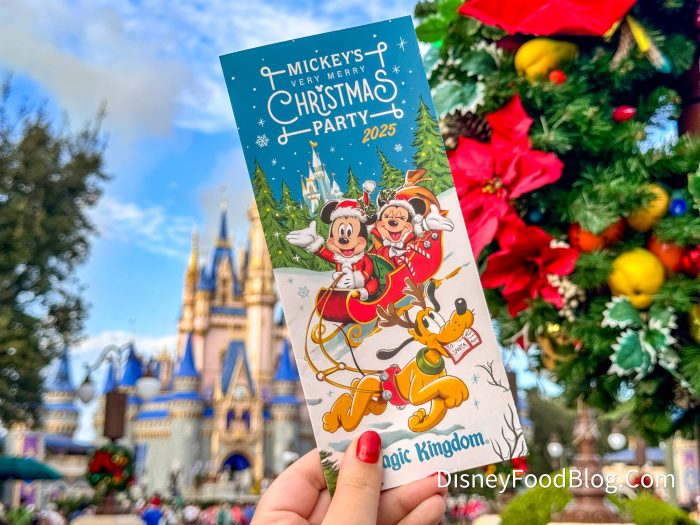 Don't Leave If It Rains at Mickey's Very Merry Christmas Party