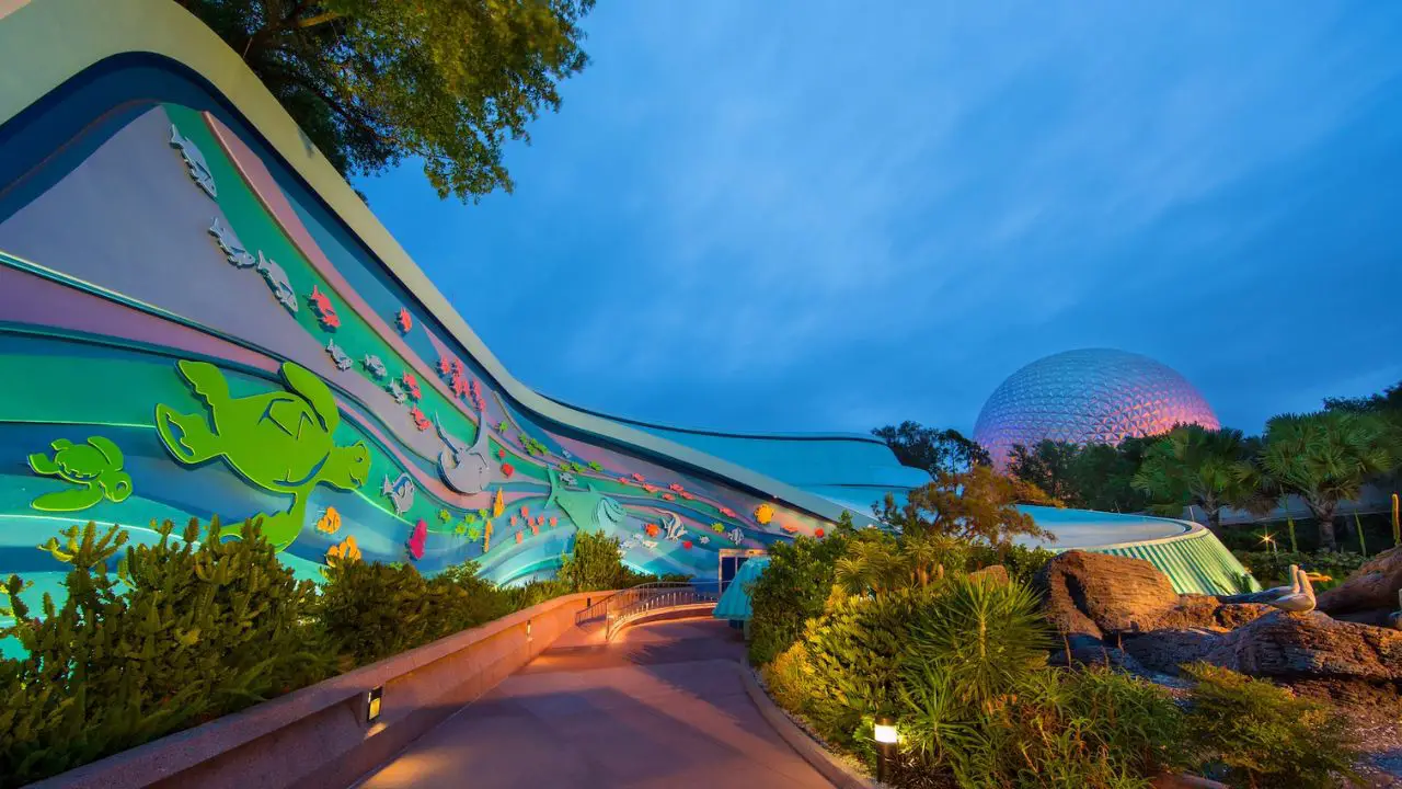EPCOT's Seas Pavilion Welcomes a Napoleon Wrasse Named Toa