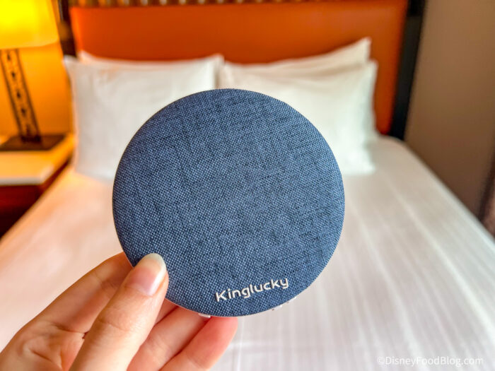 The Tiny Gadget That Solves a Real Disney Hotel Problem