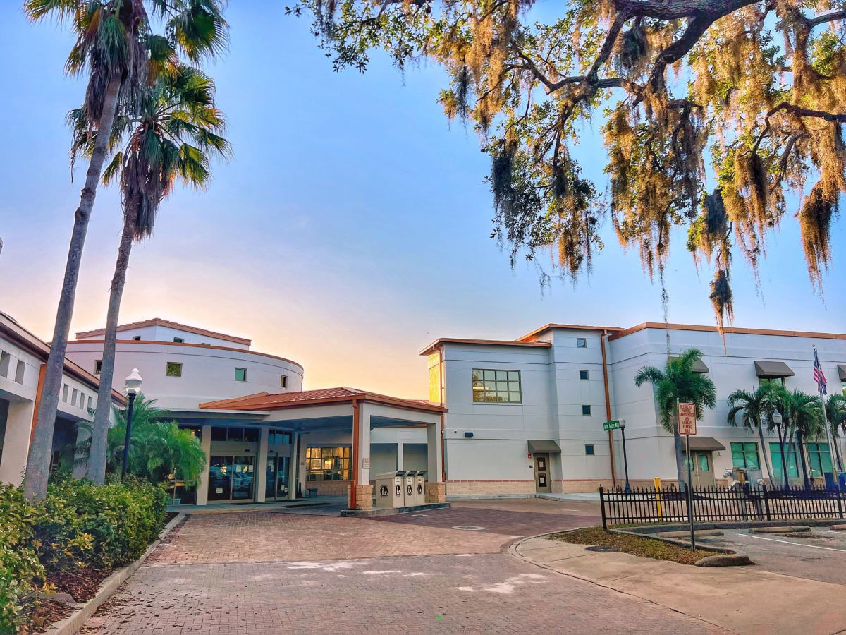 Safety Harbor Library Book Sale Leads Tampa Bay’s Week