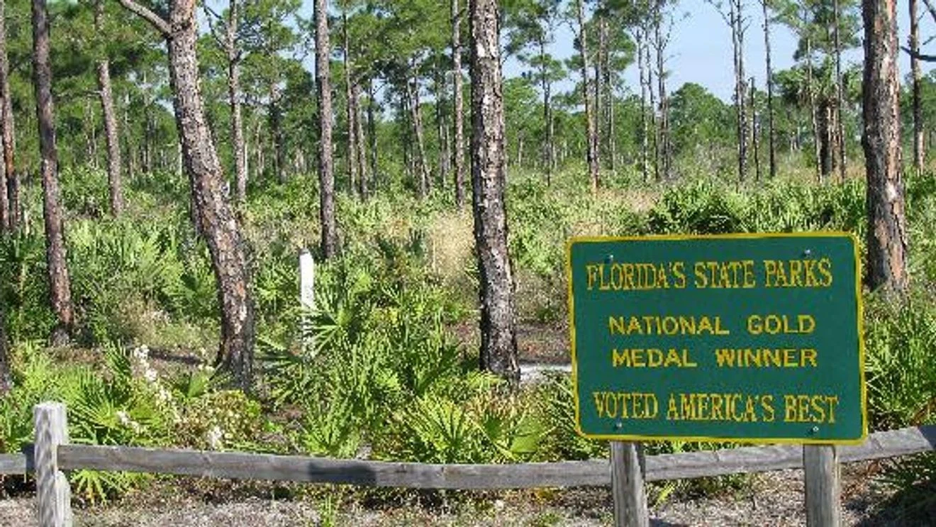Prescribed Burn Set for 170 Acres at Savannas Preserve SP