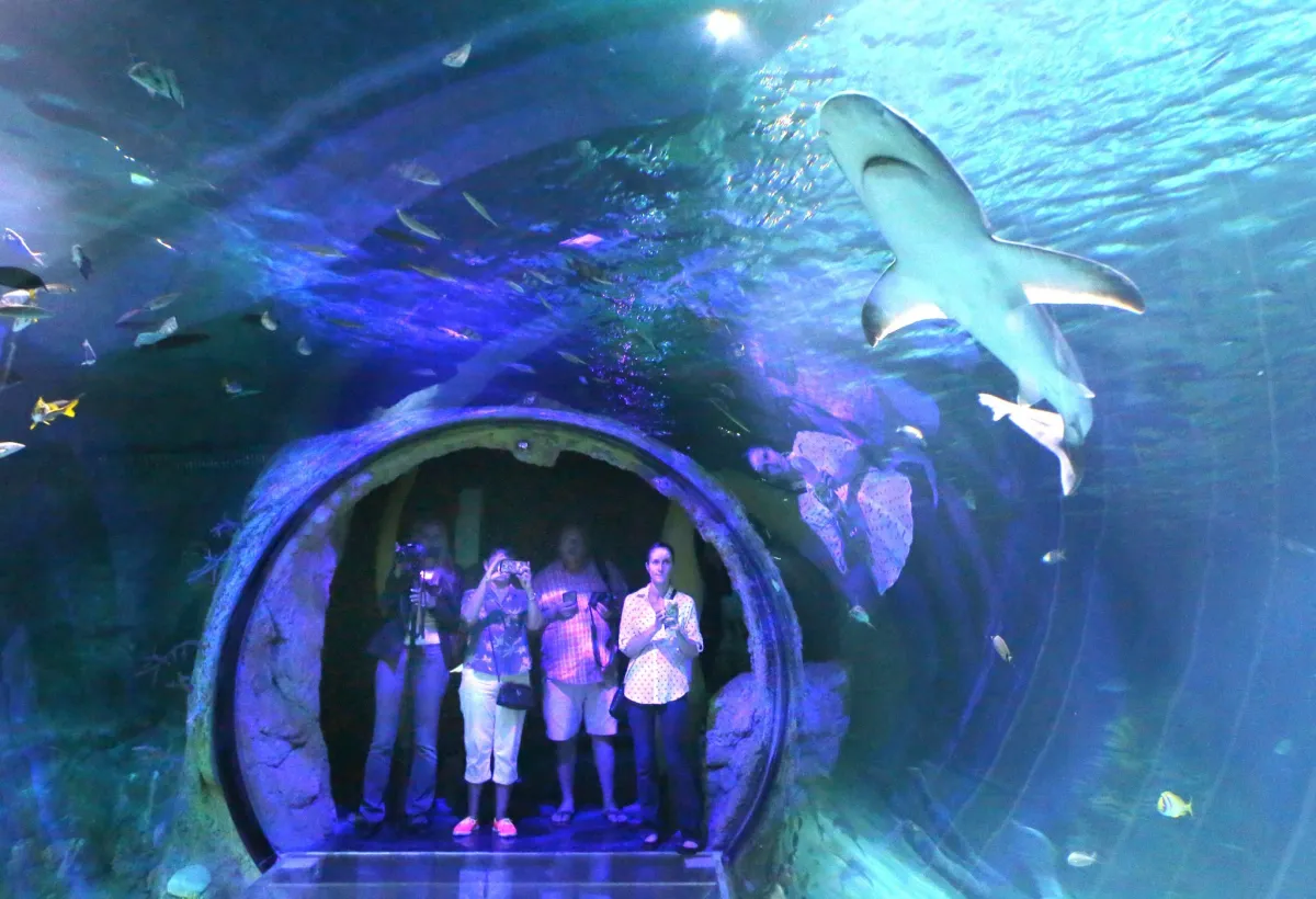 Sea Life Orlando Launches Adults-Only Craft Beer Night