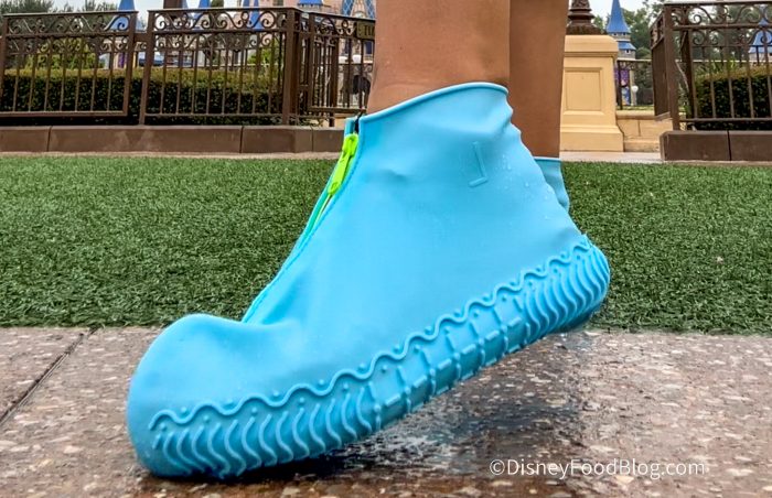 The $17 Shoe Hack That Saves Your Socks at Disney World