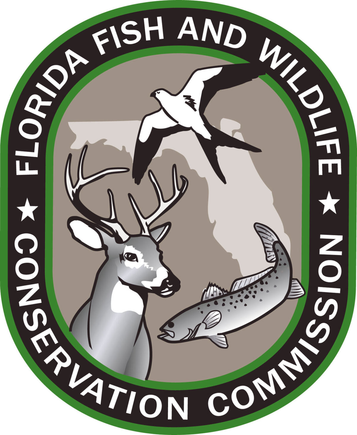 Red Tide Bloom Detected in St. Joseph Bay