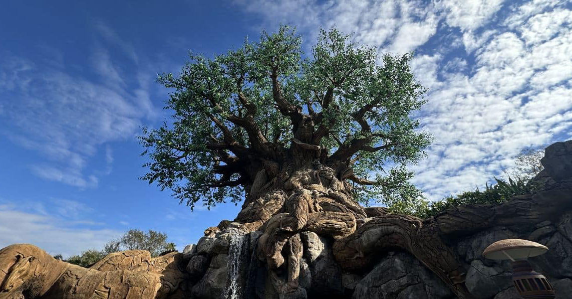 Animal Kingdom Set for Later Opening on Nov. 15, 2026