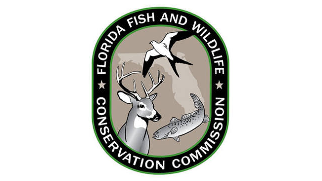 FWC Takes Comments on Limpkin, Key Silverside Guidelines