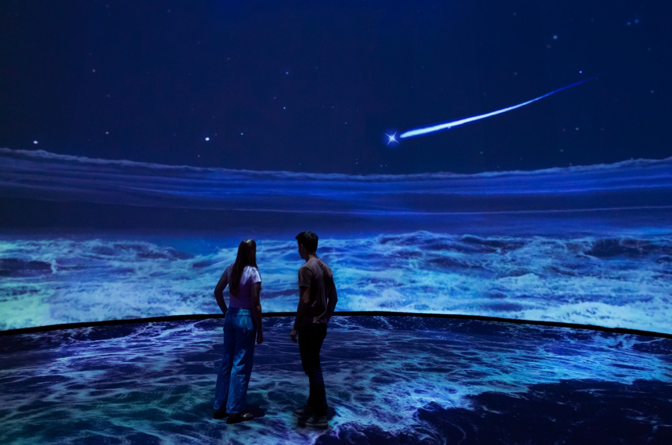 6 Things to Do in Tampa Bay This Weekend
