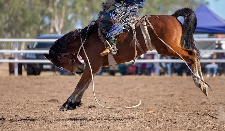 Tampa's Best Bets: July 17–19 Weekend Events