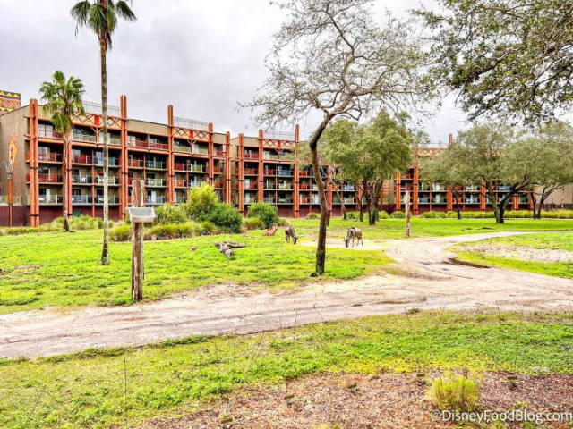 The Mara at Animal Kingdom Lodge Goes Mobile Order Only
