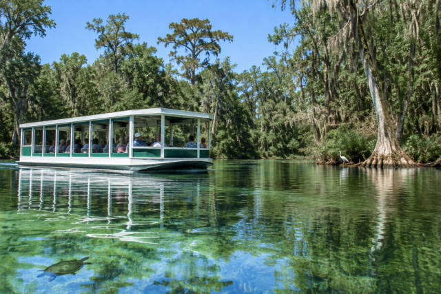 Wakulla Springs Boat Tour: Tickets, Times & Wildlife