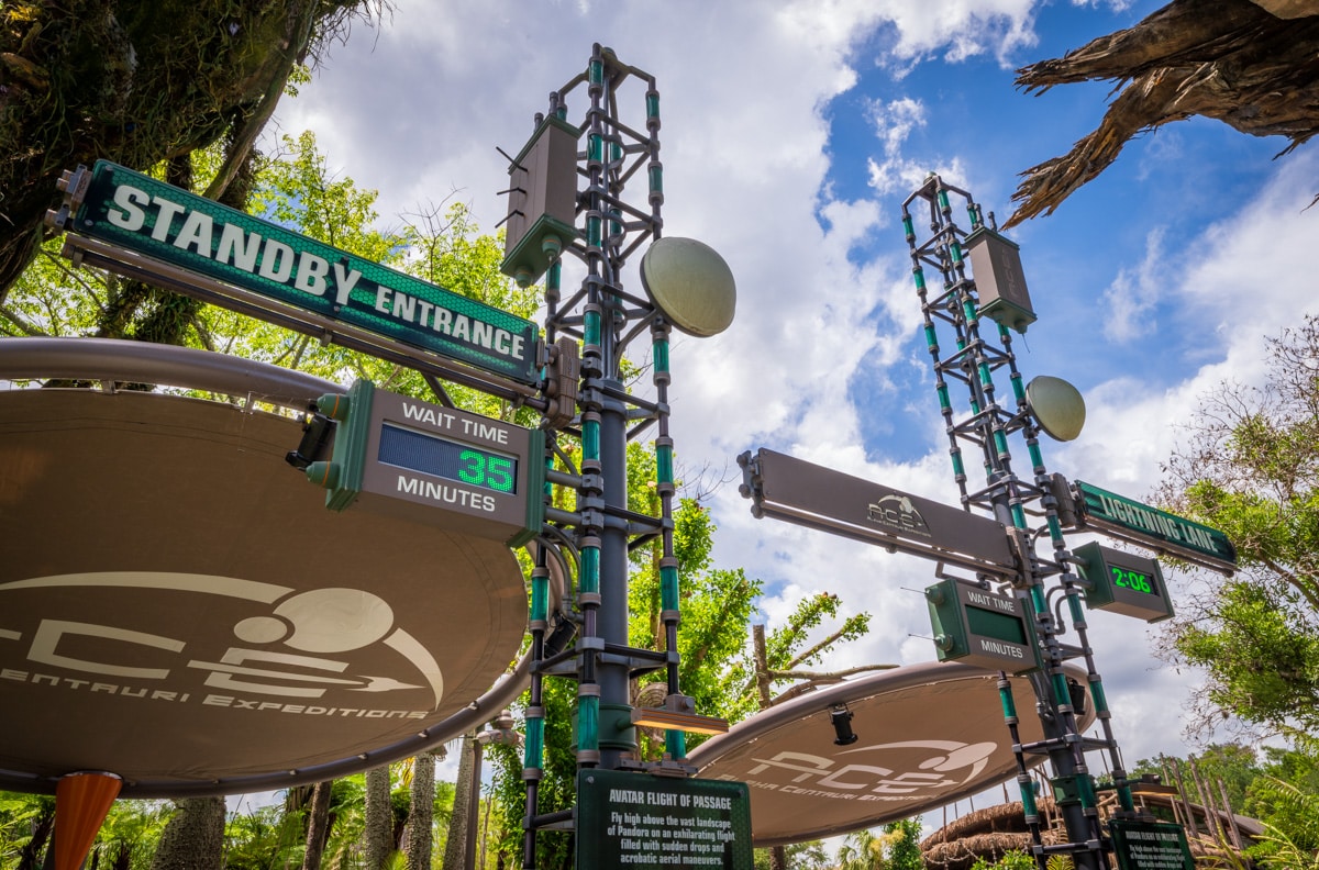 Walt Disney World Is Having a Quieter Summer in 2026