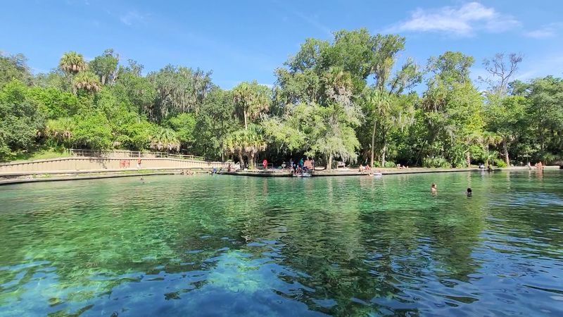 Wekiwa Springs: Central Florida's Cool, Clear Lakeside Escape