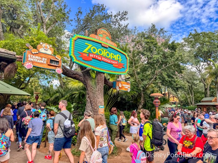 Zootopia Show at Animal Kingdom Gets a Zootopia 2 Preshow